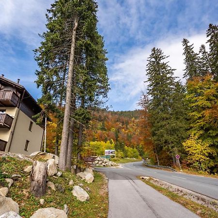 Apartment Anna Chopok, 1 110 M, Highest In Central Europe, On A Hiking Trail To Dumbier ديمانوفْشكا دولِنا المظهر الخارجي الصورة